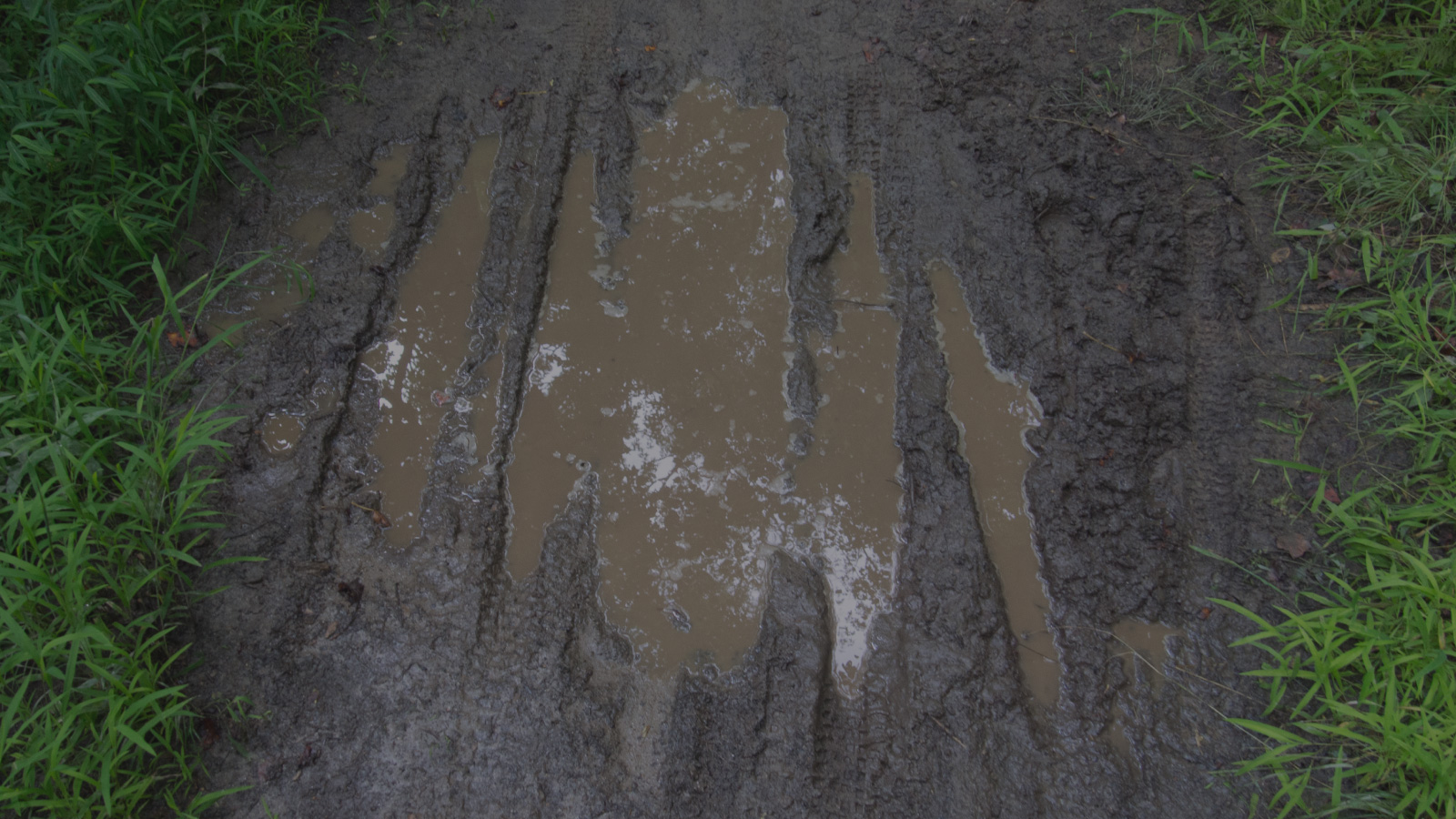 Muddy bike trail